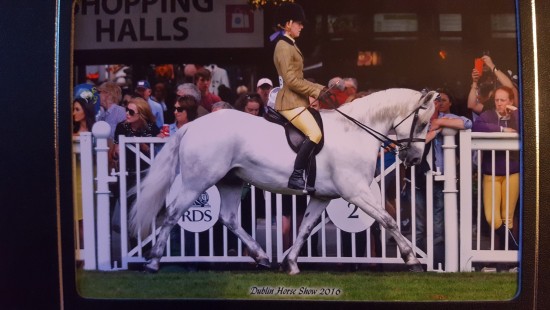 Honeyhill Beacon RDS Winner 2016
